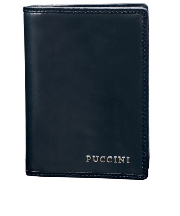 Etui na karty dokumenty PUCCINI Calypso CY1595