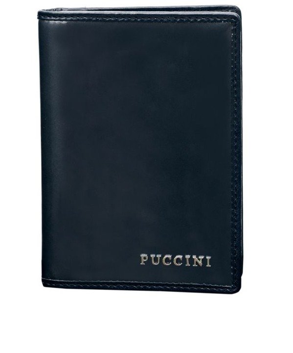 Etui na karty dokumenty PUCCINI Calypso CY1595