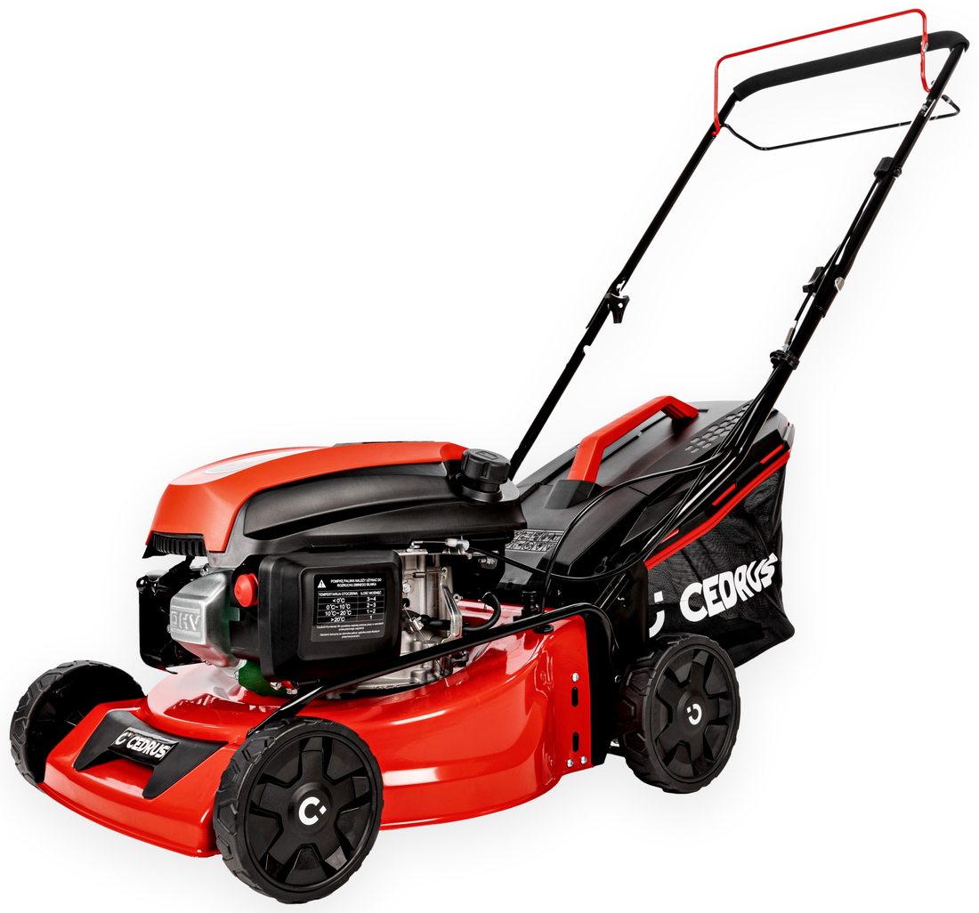 CEDRUS KS42S CEDKS42S 42cm / 4,2KM