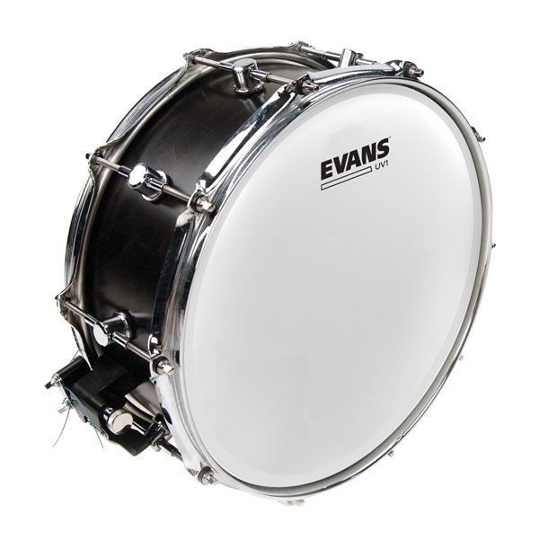 Evans B14UV1 naciąg uderzany do werbla 14''