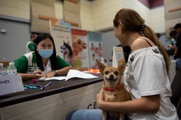 obowiązkowe czipowanie psów i kotów w całej polsce. rząd przyjął projekt ustawy o krajowym rejestrze oznakowanych psów i kotów kropik nowy obowiązek dla właścicieli psów i kotów ile kosztuje czipowanie arimr gov 2026