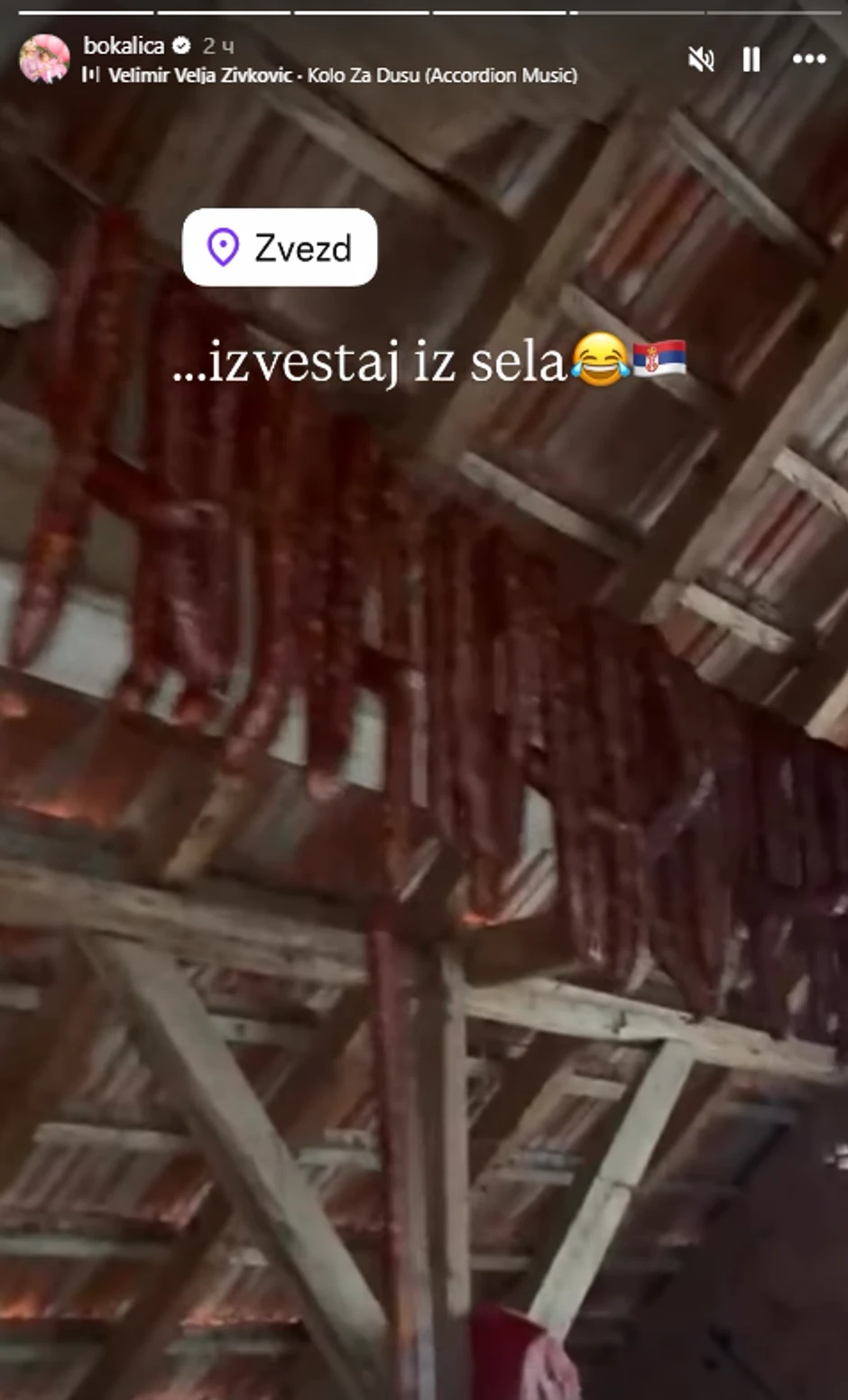 Bojana Ristivojević