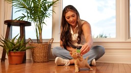 Czy Ala ma kota, psa a może słonia