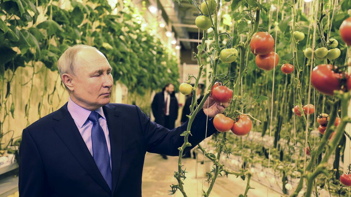 Władimir Putin przeprowadza inspekcję w kompleksie szklarni na Czukotce
