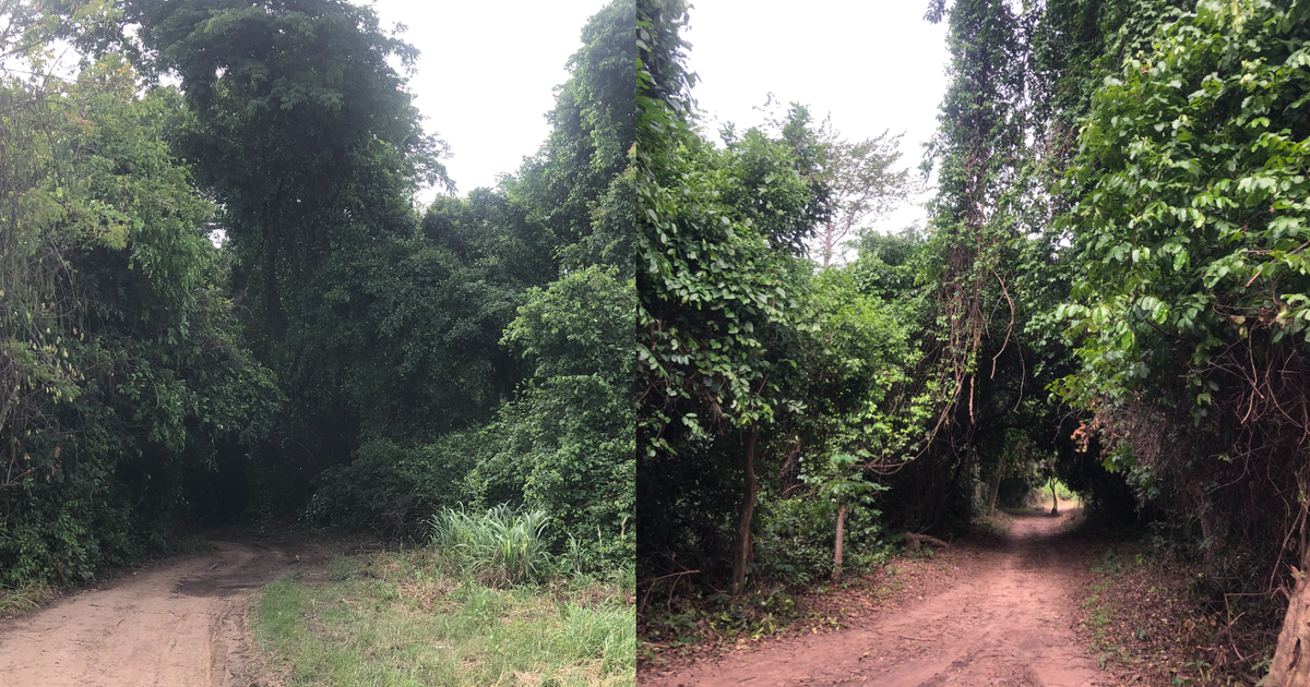 Klamadaboe - The story of a village where residents struggle to bury the dead - Vimarsana News