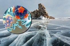 Syberyjskie 'wirusy zombie' czekają tylko, aby je obudzić. Zdaniem naukowców to nieuniknione