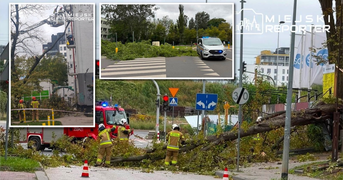 Wichura szaleje w Warszawie. Zamknięte zoo, parki i utrudnienia w komunikacji miejskiej