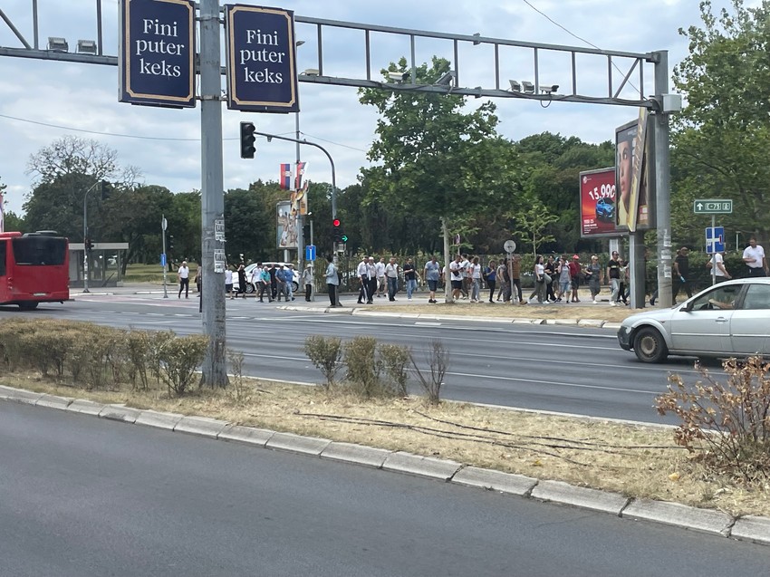 Pristalice SNS idu ka Pionirskom parku sa Novog Beograda