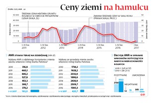 Ograniczenia w handlu ziemią rolną zamroziły ceny. Grunt utknął na 40 tys. zł i ani drgnie