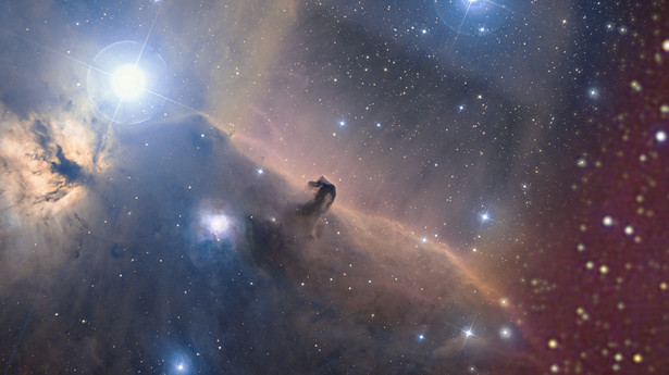 Mgławica Koński Łeb sfotografowana przez Teleskop Webba
