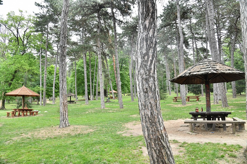 Košutnjak je danas sablasno prazan