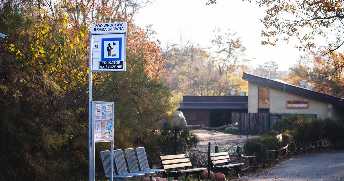 Linia 160 czeka na pasażerów w zoo!