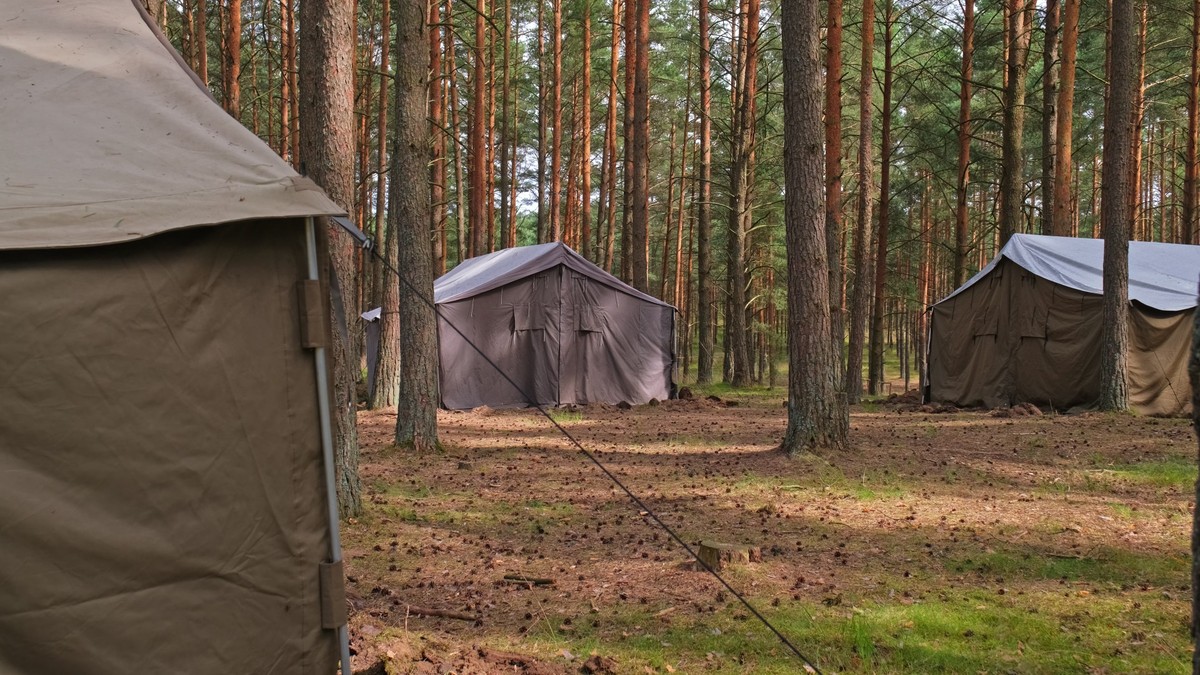 Tak (nie)działa system. Kto i jak organizuje obozy harcerskie?