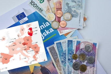 Dla Kaczyńskiego przyjęcie euro oznacza ubóstwo. Czy na pewno? Spytaliśmy ekspertów