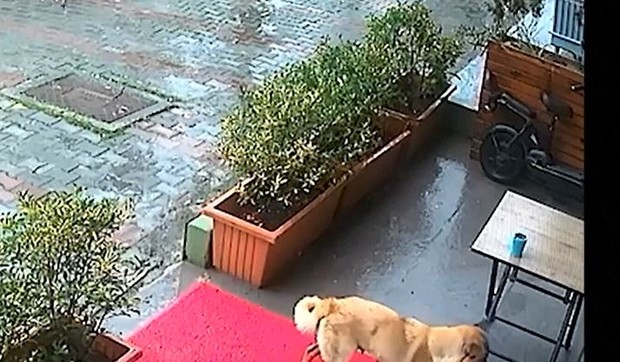 Keruša sa štencetom