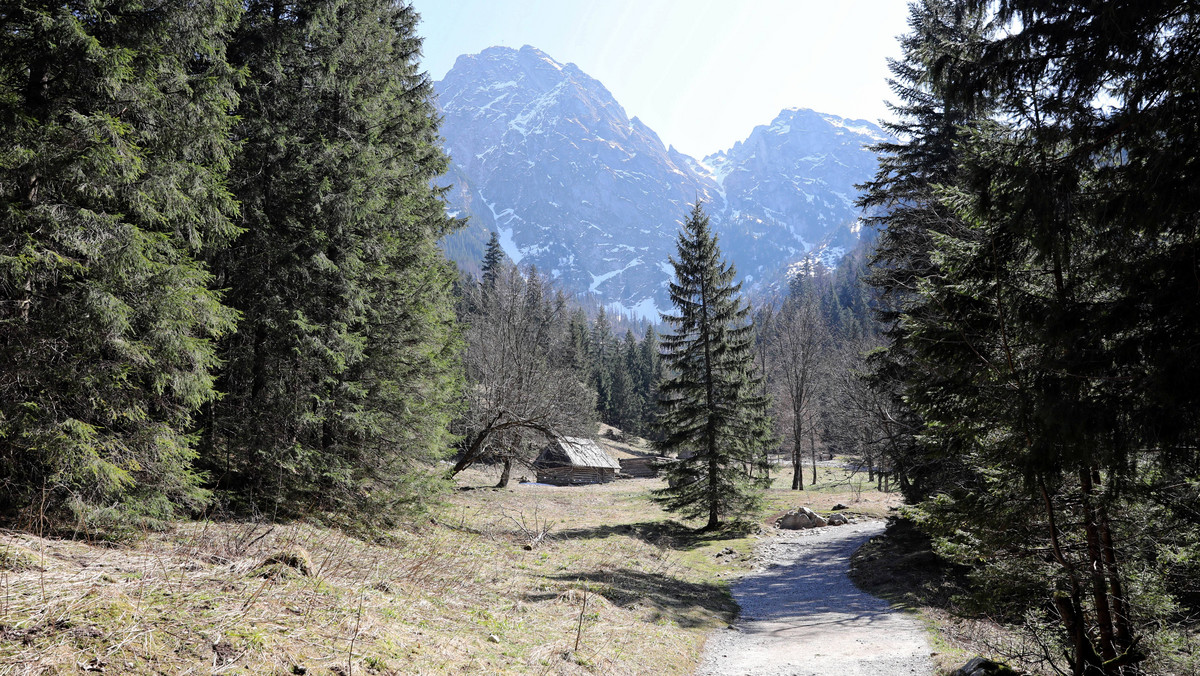 Od poniedziałku 4 maja zostają otwarte wszystkie szlaki turystyczne w Tatrach – poinformowały w czwartek władze Tatrzańskiego Parku Narodowego. Wejścia na drogę do Morskiego Oka i do Doliny Kościeliskiej będą jednak limitowane. Rusza także kolejka linowa na Kasprowy Wierch.