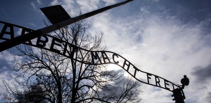 Izraelczyk nasikał na pomnik w Auschwitz. Teraz sam prosi o karę