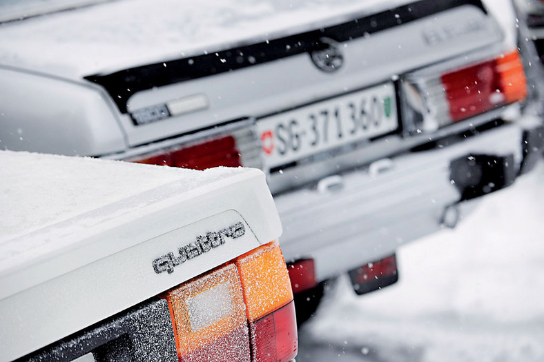 Audi 80 Quattro
- Szlachetny gronostaj