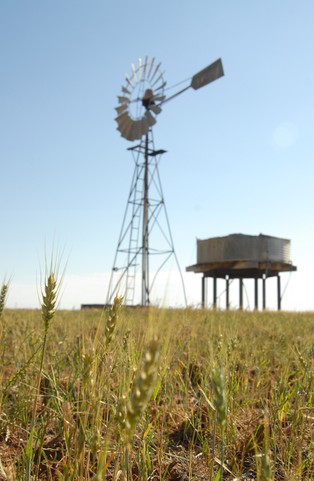 System wspierania energetyki odnawialnej musi być stabilny