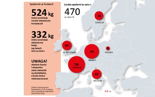 Dym wokół spalarni coraz większy. Tona śmieci może kosztować nawet 720 zł