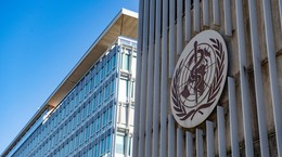 La Organización Mundial de la Salud anunció la fecha para el fin de la epidemia.  Un virólogo explica qué supondrá esto para nosotros