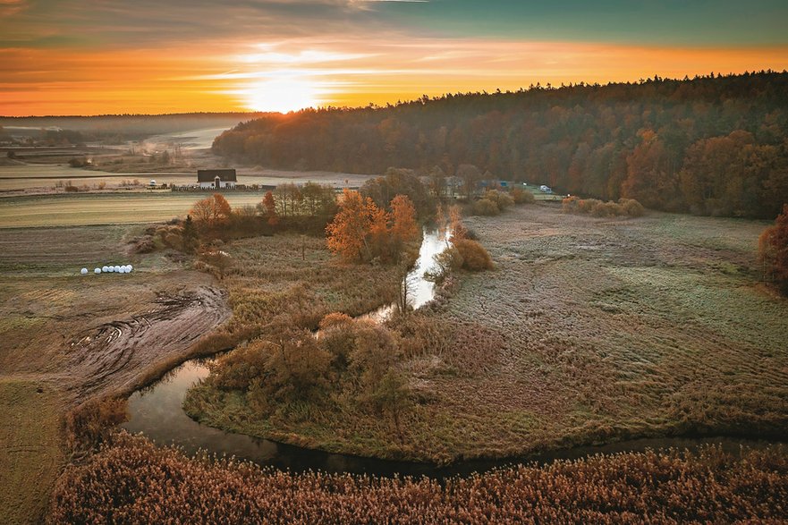 Kaszuby. Eksplorując ten bogaty przyrodniczy i historycznie region, warto zatrzymać się na dłużej w Kartuzach i odwiedzić tutejsze muzeum.