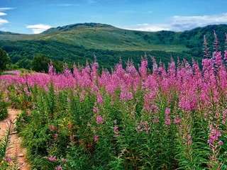 Bieszczady