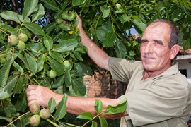 Pero iz Priboja naslepo KUPIO ALBANKU za 3.000 evra: Kad su mu doveli "nevestu" GORKO SE POKAJAO, a onda mu je život priredio ŠOKANTNO IZNENAĐENJE