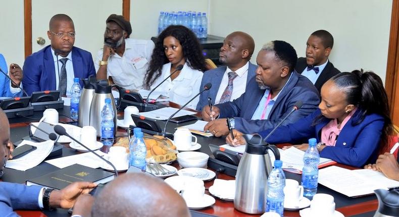 Cindy and other association members met with MPs at Parliament over copyright issues