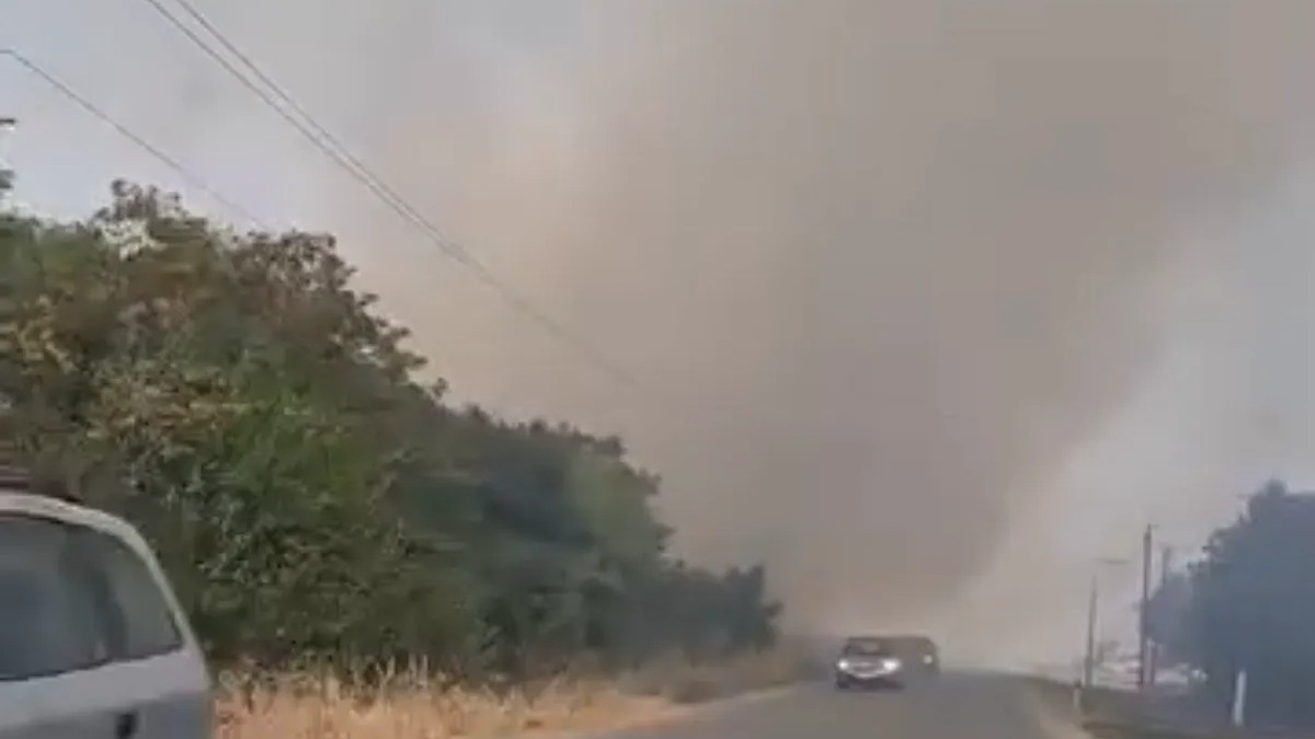 Požar u Pećincima