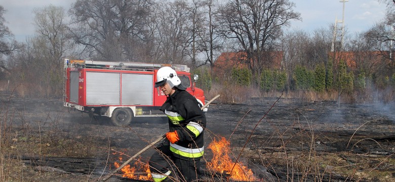 Płoną trawy w Warszawie. W trzech miejscach