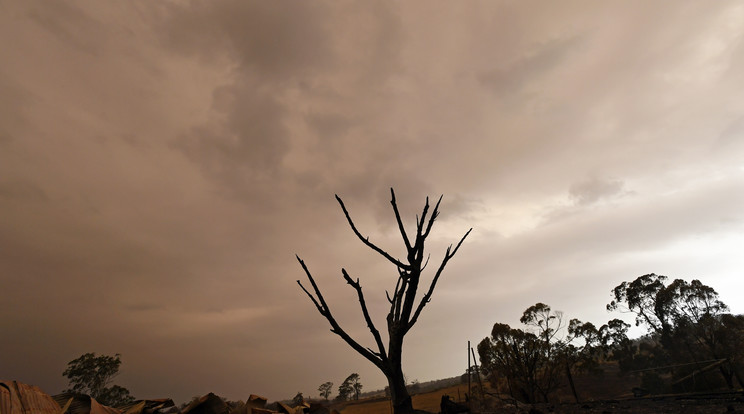 Már nem csak a tűz miatt kell aggódniuk az ausztráloknak/ Fotó:  MTI EPA/JAMES ROSS  AUSTRALIA AND NEW ZEALAND OUT