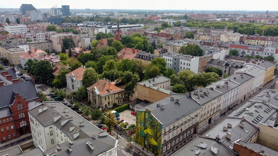 Szukasz egzotyki? Przytul się do drzewa! Nowy mural ozdobił Jeżyce w Poznaniu