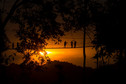 Cyril Ndegeya - Zachód Słońca - Park Narodowy Nyungwe, Rwanda