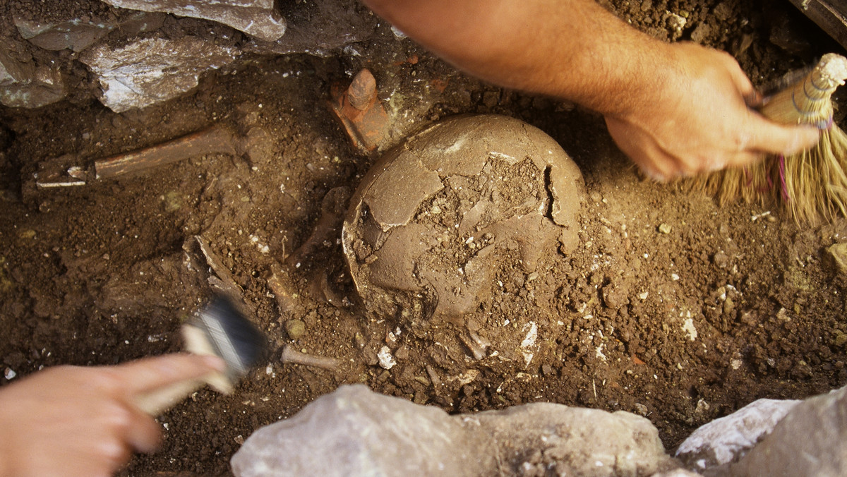 Bardzo rzadkiego znaleziska dokonano w pozostałościach prehistorycznego browaru. Zagadką jest, dlaczego jajka tam się znalazły - czytamy w "Rzeczpospolitej".