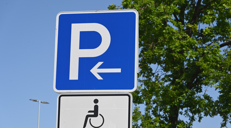 Jöhet az EU-tagállamokban érvényes európai fogyatékossági és parkolási kártya / Fotó: Getty Images