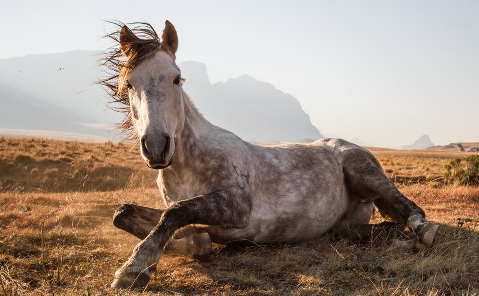 Wyróżnienie - "Khotso" Peace at Devil's Knuckles
(pol. Spokój w Diabelskich Stawach), Byron Inggs
/ National Geographic Traveler Photo Contest