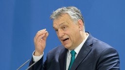 konflikt węgier z ukrainą. mocne słowa orbana i ambasador ukrainy wezwany do msz