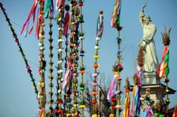 Najdłuższa palma ma ponad 33 metry