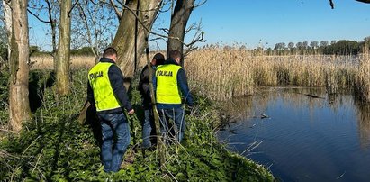 To oni mieli wymordować setki kormoranów na Jeziorze Tonowskim. Grozi im teraz długa odsiadka  [ZDJĘCIA]