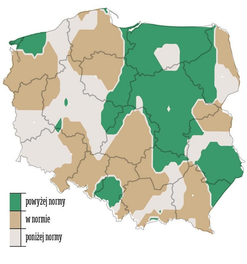 Grudzień 2020. Prognoza miesięcznej sumy opadów