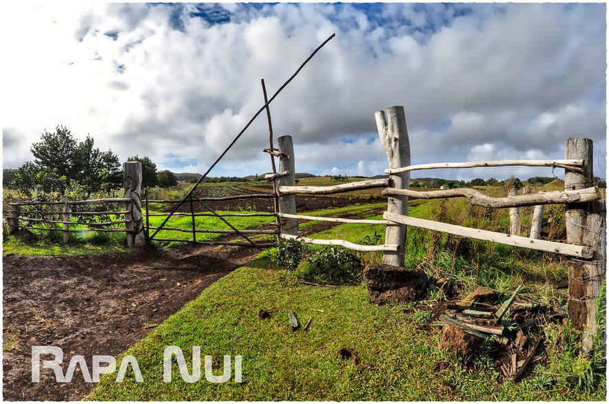 Wyspa Rapa Nui