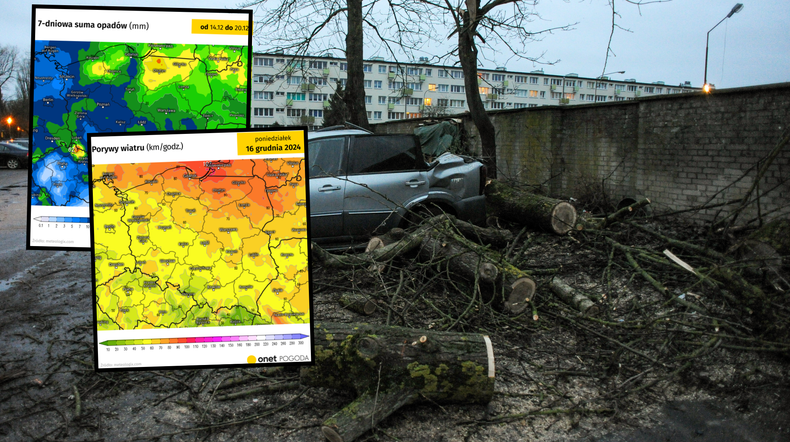 To będzie niebezpieczny czas w pogodzie. Widać wichury i nie tylko (mapy: meteologix.com)