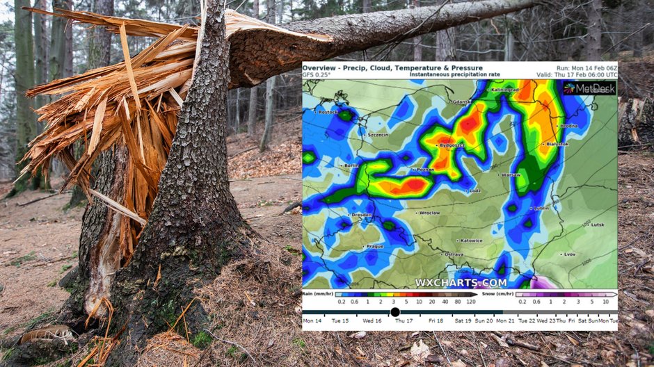 W nadchodzącym tygodniu nad Polską solidnie zawieje. IMGW może wysłać ostrzeżenia (fot. Gosia1982/Shutterstock, wxcharts.com)