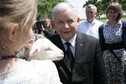 KUBALIN KAMPANIA PREZYDENCKA PIS KACZYŃSKI