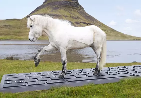 Konie z Islandii wyślą za ciebie e-maila na urlopie. Szef się nie zorientuje