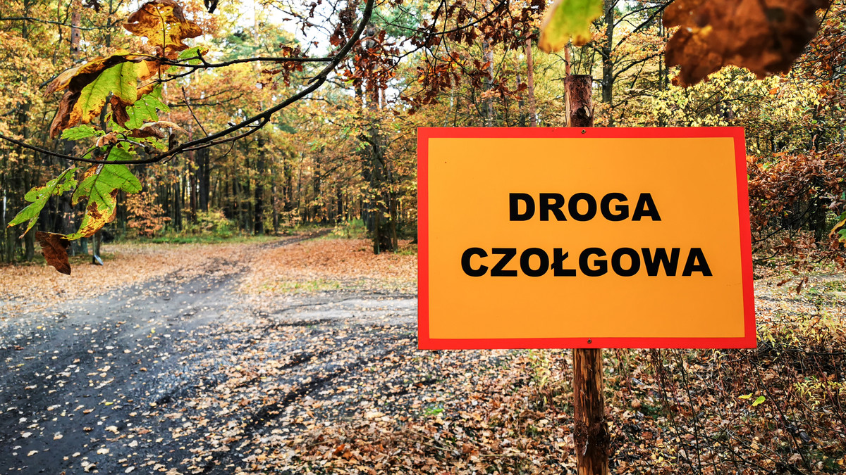 Droga czołgowa - znak ostrzegający w lesie przy poligonie wojskowym.