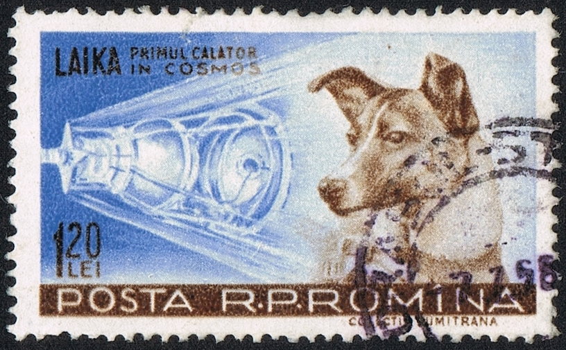 Łajka i Sputnik 2 na rumuńskim znaczku pocztowym