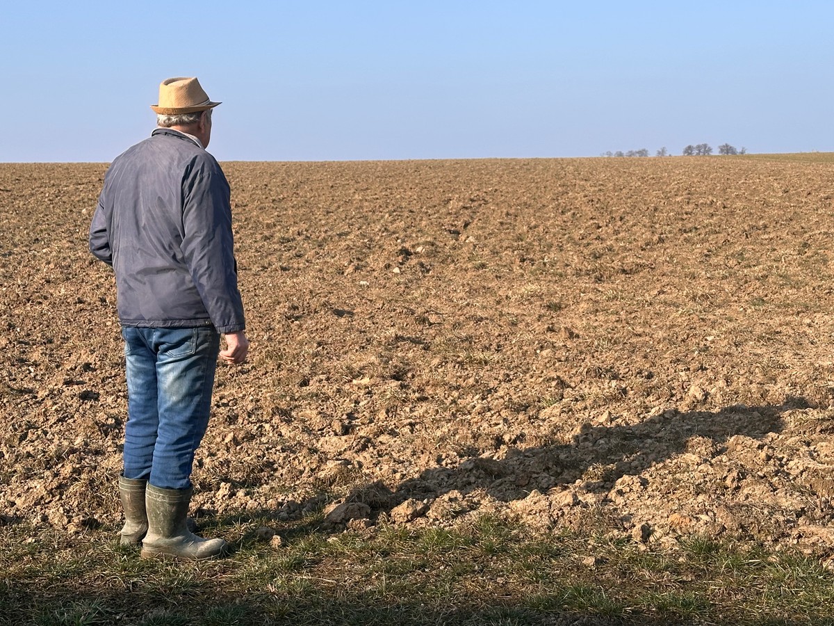 Ekoschematy 2025 – jakie stawki dopłat do ekoschematów w 2025?