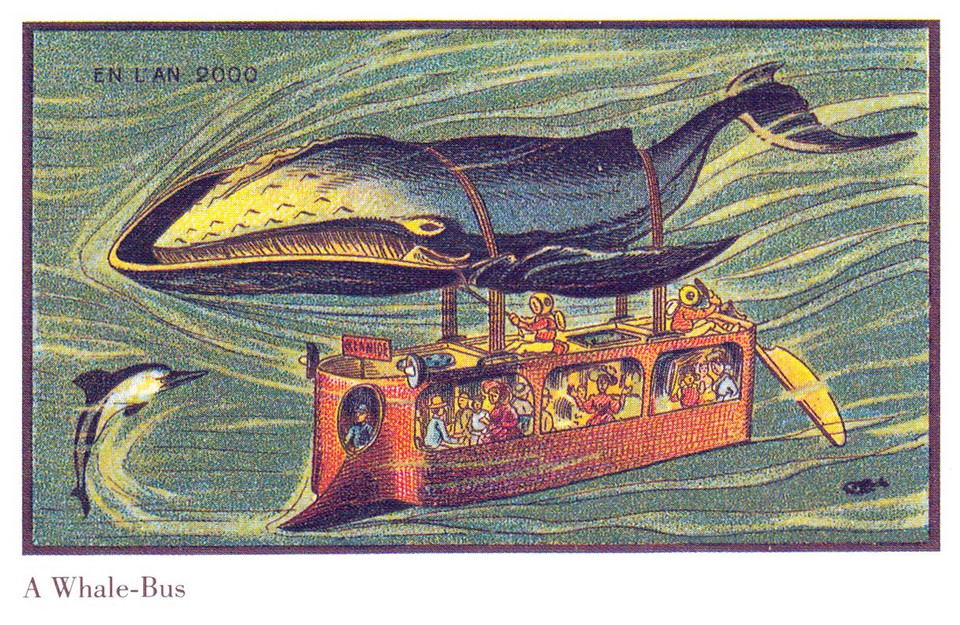 Wielorybi autobus